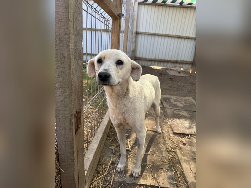 ARIMA sucht ihren Platz für's Leben