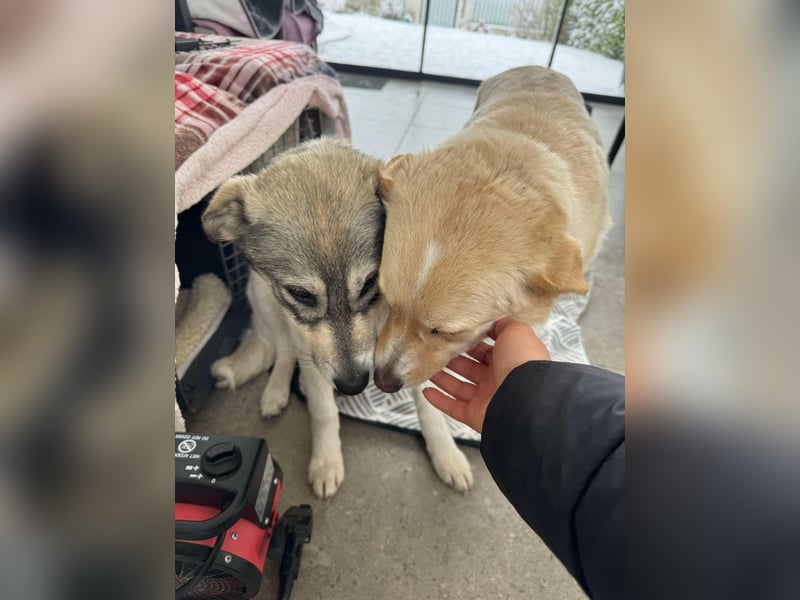 AINE & BELANA - die Unzertrennlichen