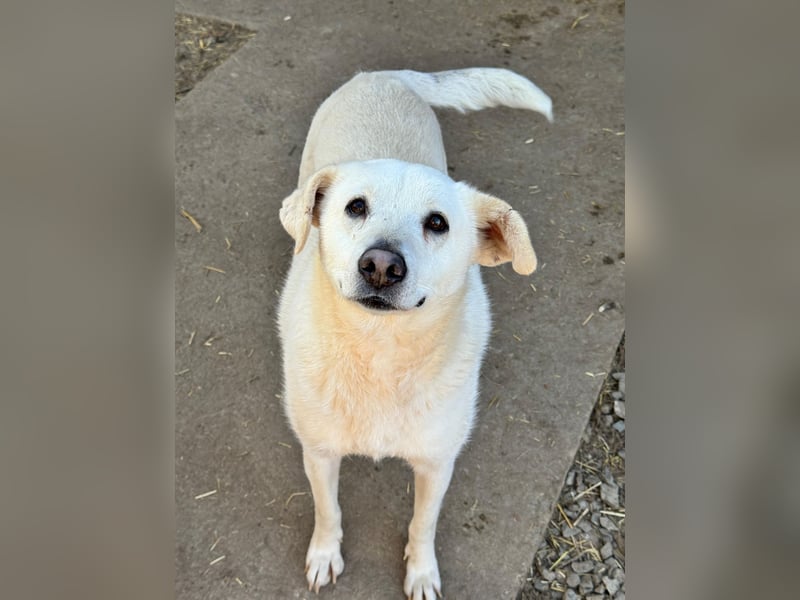 ARIMA sucht ihren Platz für's Leben