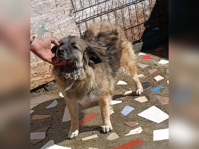 LISA wartet auf ihre Menschen...