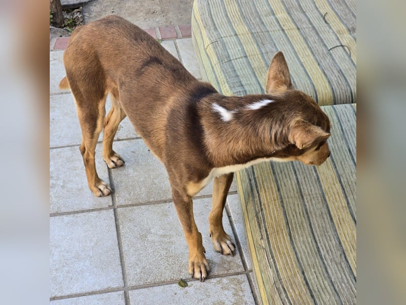 LEMON sucht das Glück