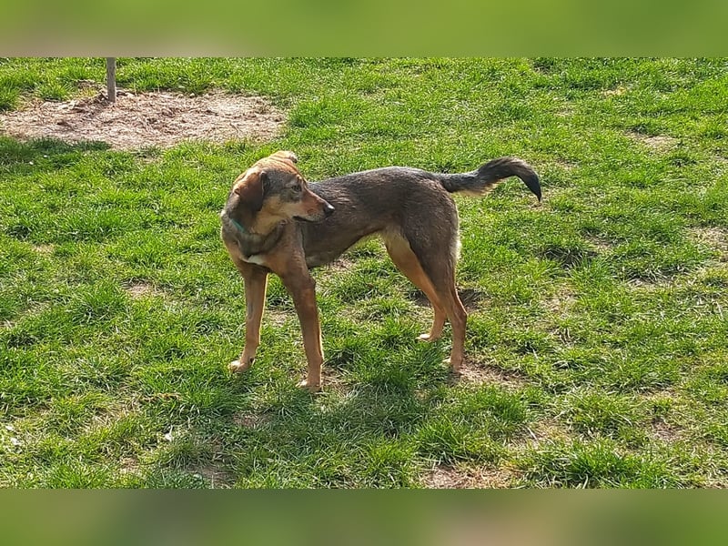 KINUSHI soll endlich entgültig ankommen