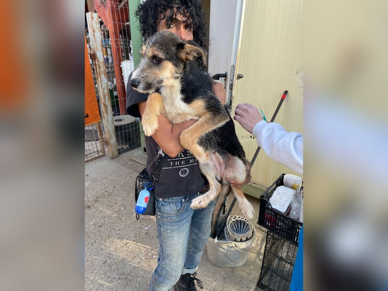 Ina, verspielt und freundlich