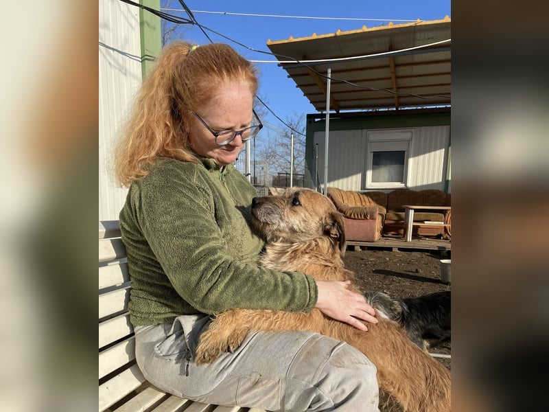 Getto, Kleiner Schmusebär sucht….