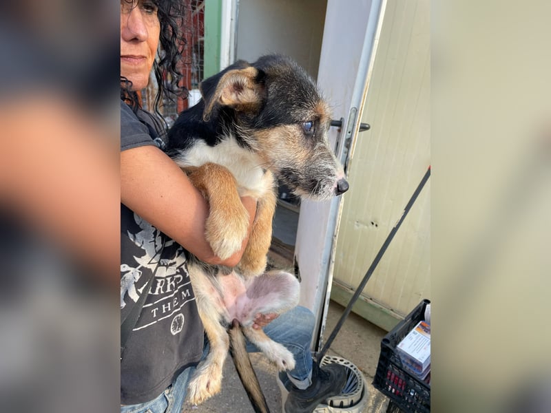 Ina, verspielt und freundlich