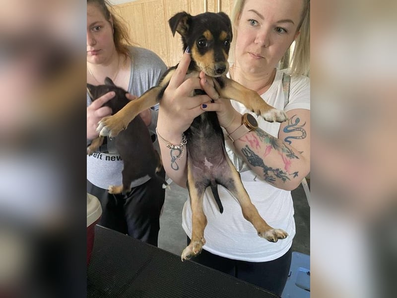 Tilda freut sich auf  dich!