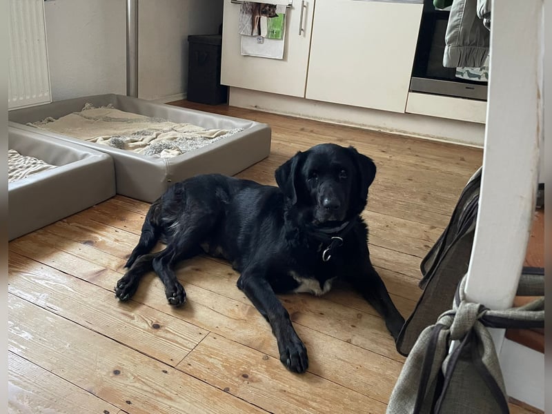 Hero, was für ein süßes Schnäuzchen