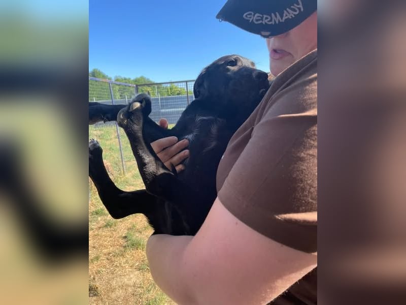 Vadim freut sich auf Euch!