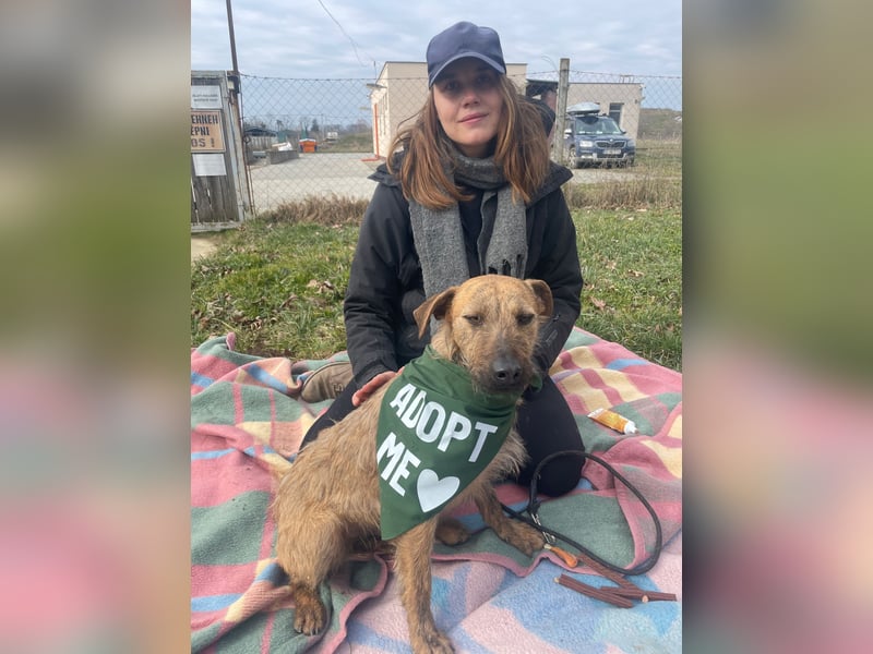 Bukta,möchte in seinem neuen Zuhause ankommen