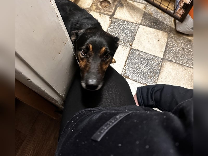 Pajti hofft auf ein warmherziges Zuhause