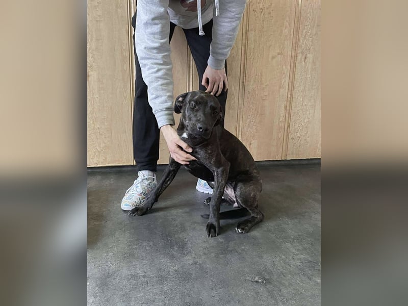 Adidas, sportlich und aktiv