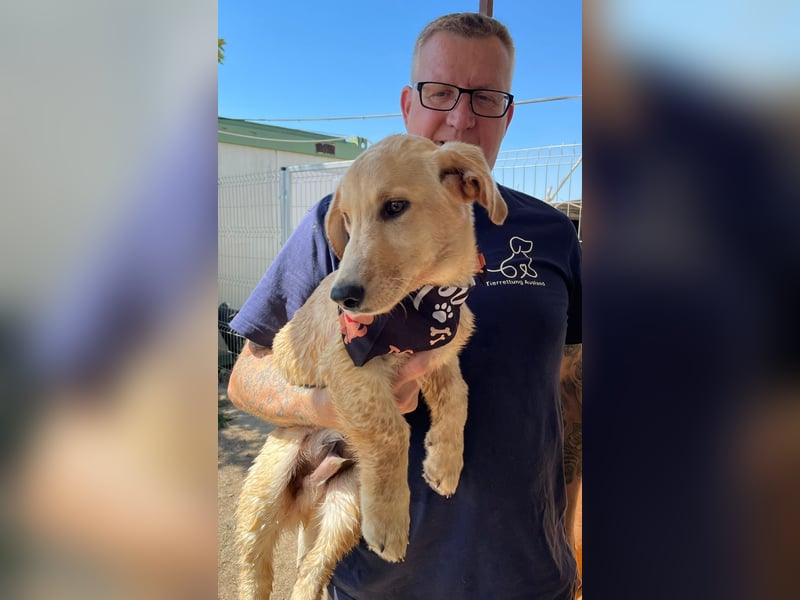 Labtacs, so süß und verschmust