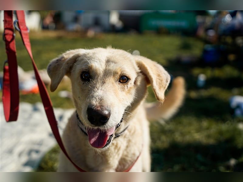 Haribo, arme Socke möchte nochmal glücklich sein