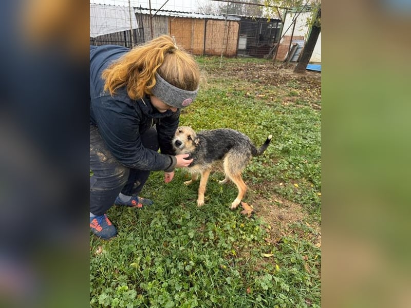 Ina, verspielt und freundlich