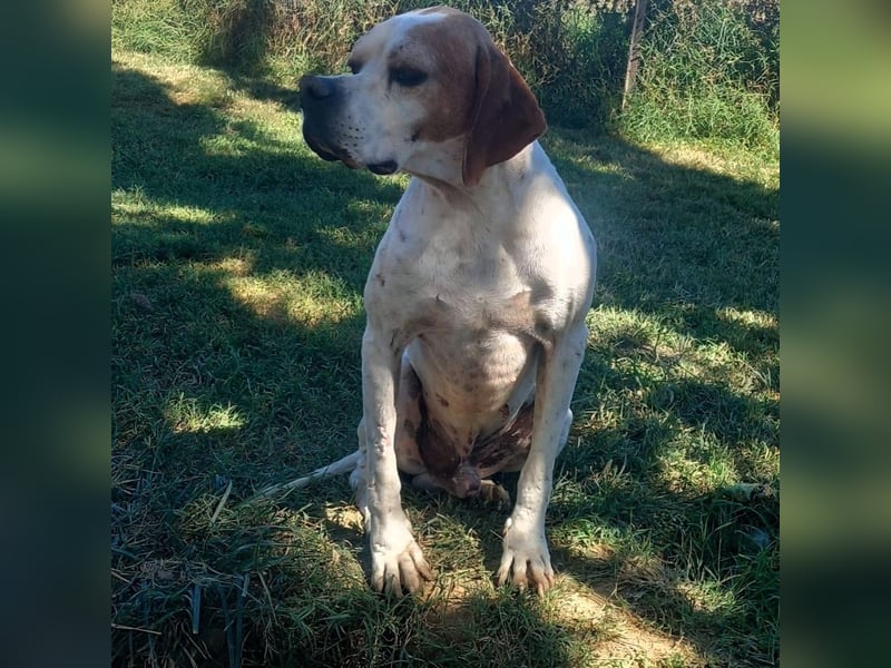 Odysseus sucht ein Zuhause