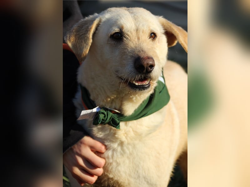 Haribo, arme Socke möchte nochmal glücklich sein