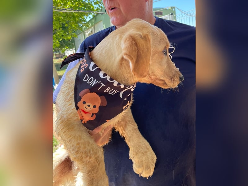 Labtacs, so süß und verschmust