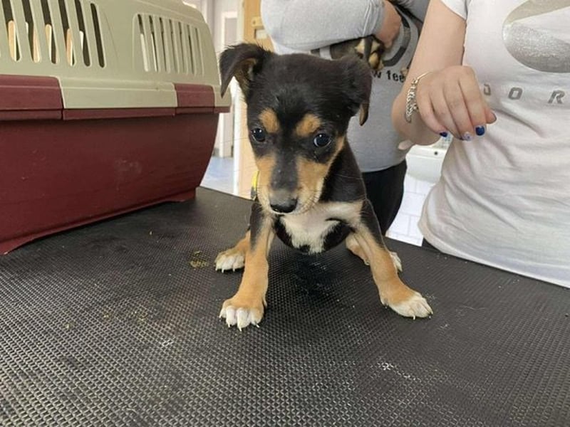 Tilda freut sich auf  dich!