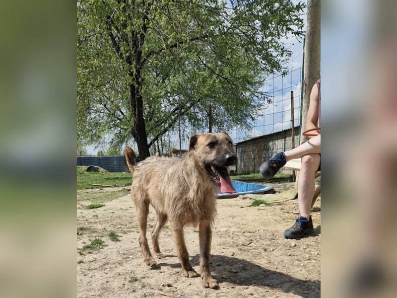 Bukta,möchte in seinem neuen Zuhause ankommen