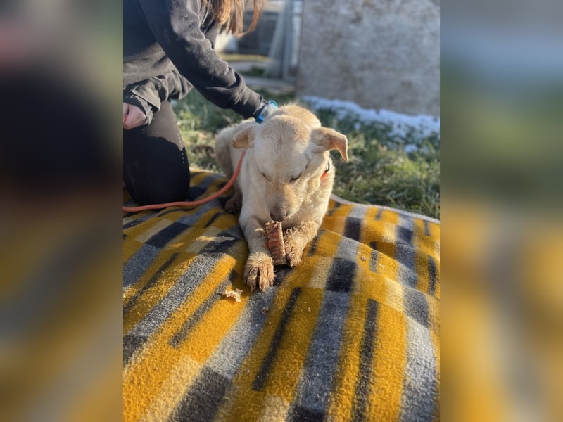 Haribo, arme Socke möchte nochmal glücklich sein