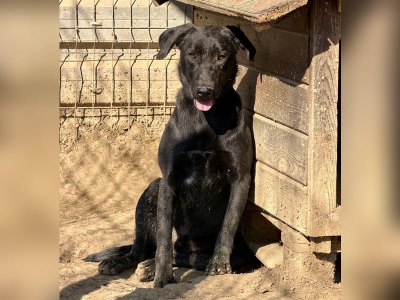 Vadim freut sich auf Euch!