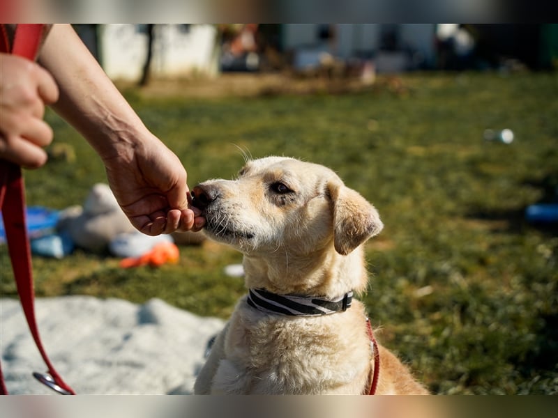 Haribo, arme Socke möchte nochmal glücklich sein