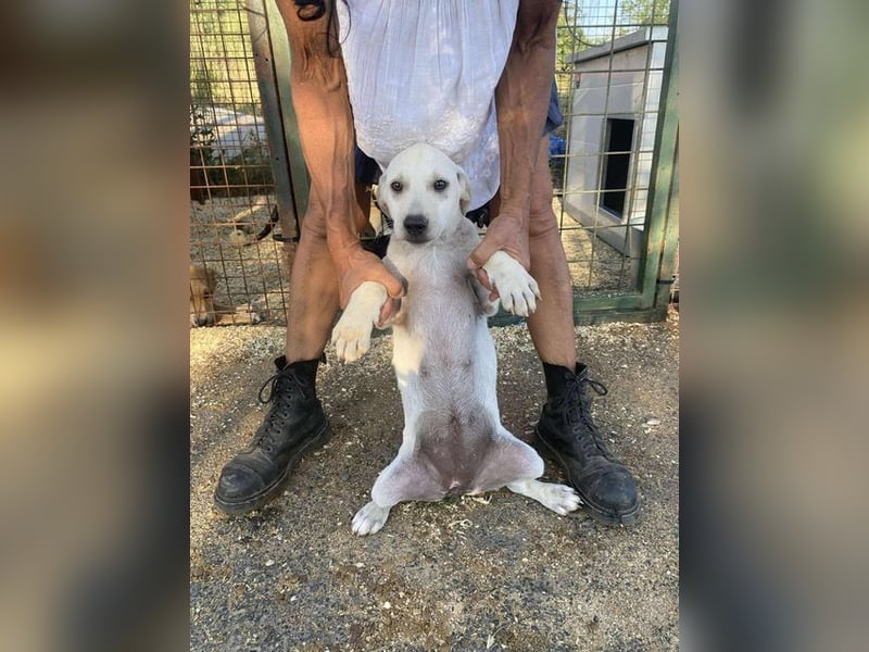 Naomi, aufgeweckt und aktiv