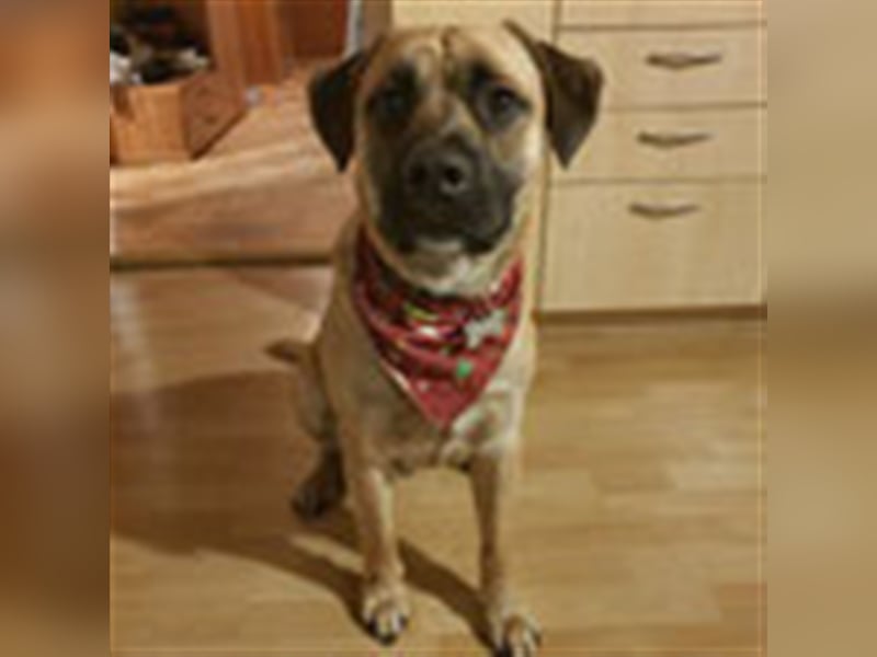 Sam 1-Vermittlungshilfe / Auf PS in 3240 Mank (Österreich)