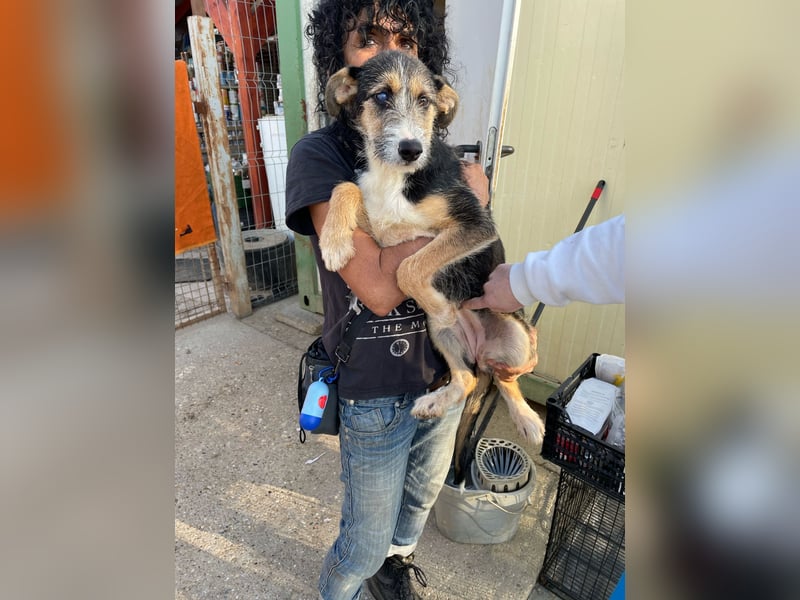 Ina, verspielt und freundlich