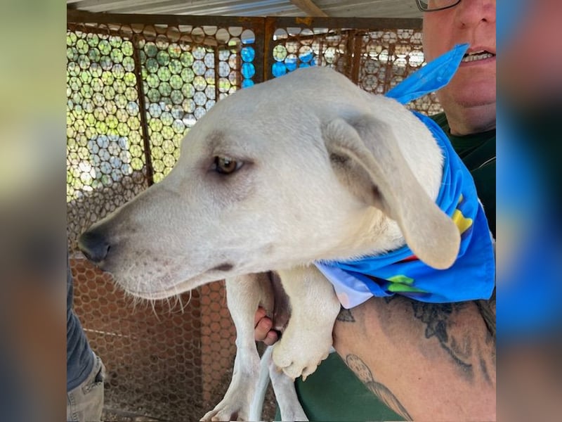 Naomi, aufgeweckt und aktiv