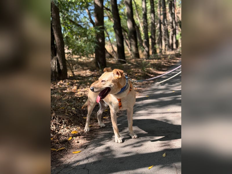 Luca unser Sonnenschein