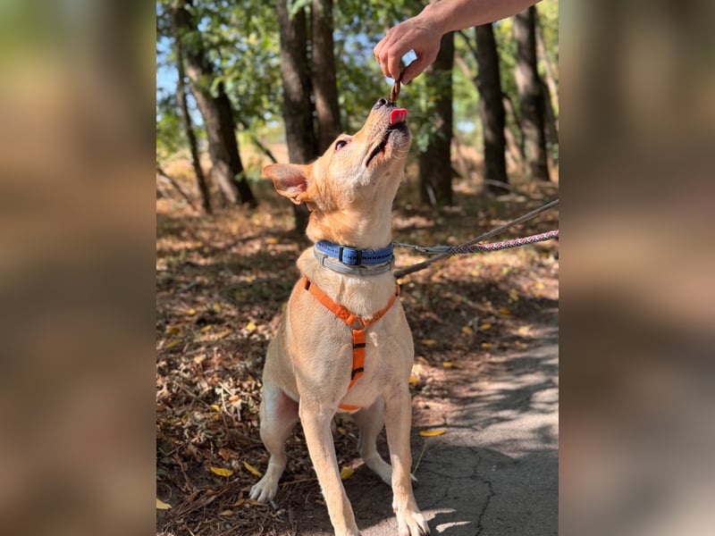 Luca unser Sonnenschein