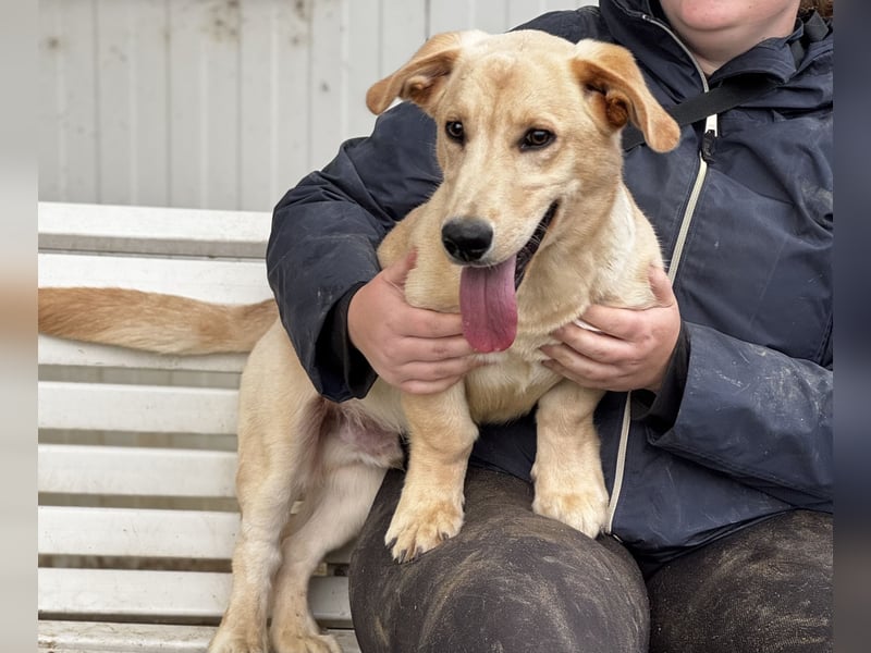 Labtacs, so süß und verschmust