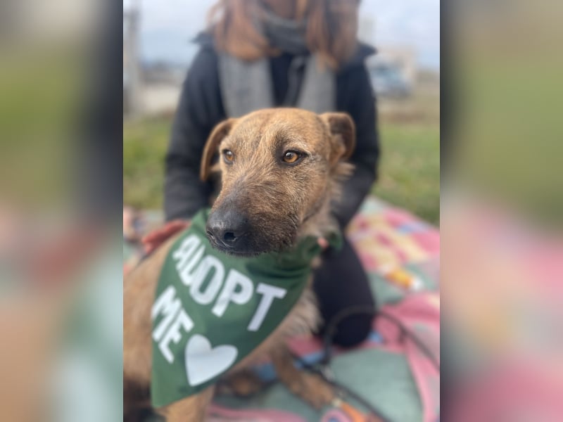 Bukta,möchte in seinem neuen Zuhause ankommen