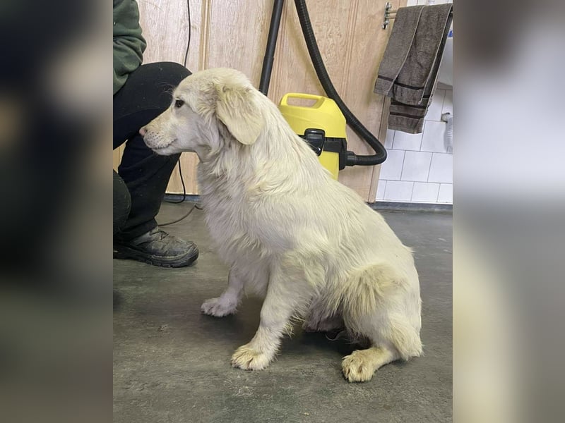 Marie, süße Maus freut sich auf eine eigene Familie