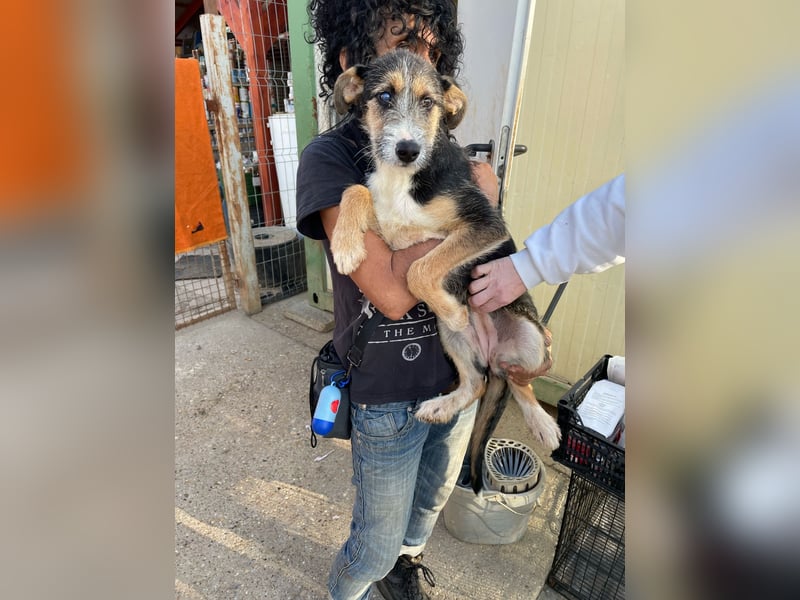 Ina, verspielt und freundlich