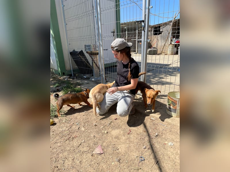 Labtacs, so süß und verschmust