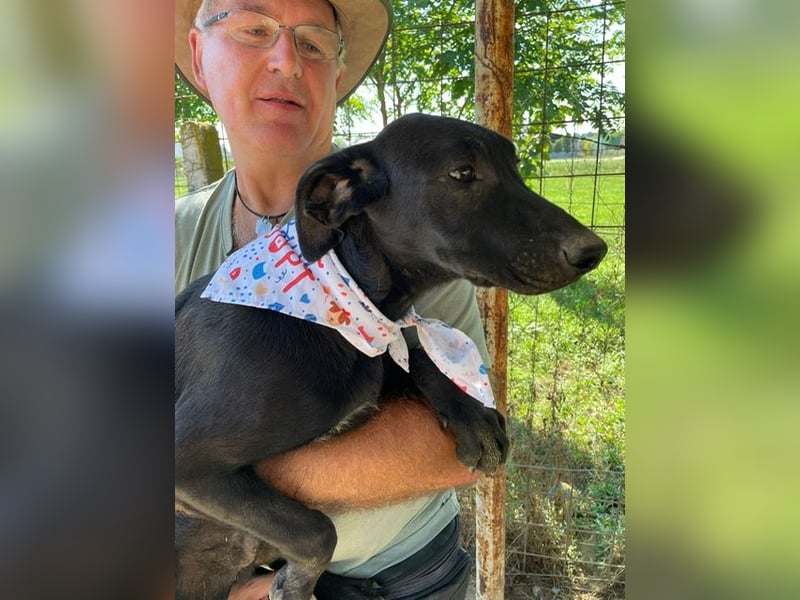 Vadim freut sich auf Euch!