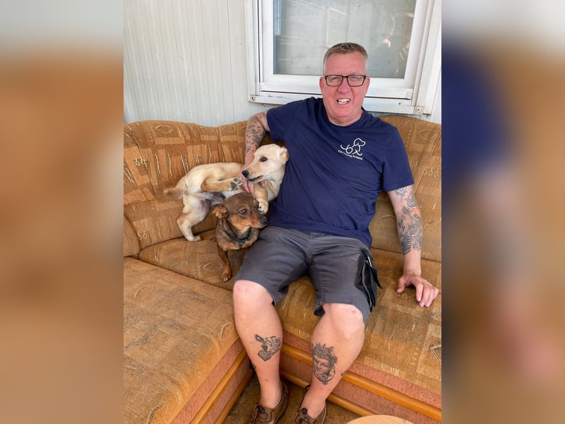 Labtacs, so süß und verschmust