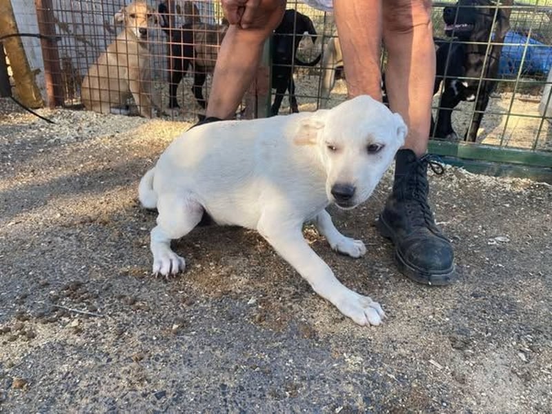 Naomi, aufgeweckt und aktiv