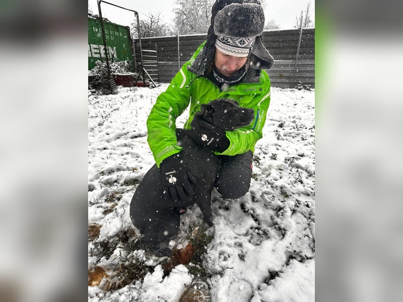 Ozzy, Black and Beautiful