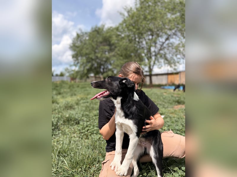 Budi sucht eine aktive Familie
