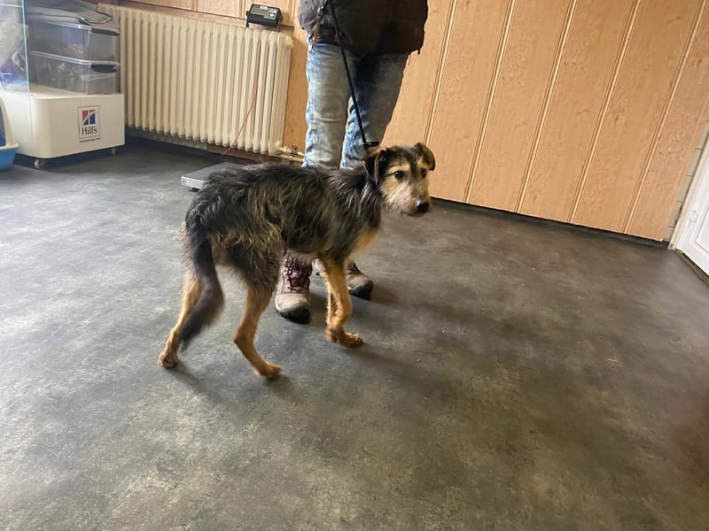 Türke hatte Glück im Unglück