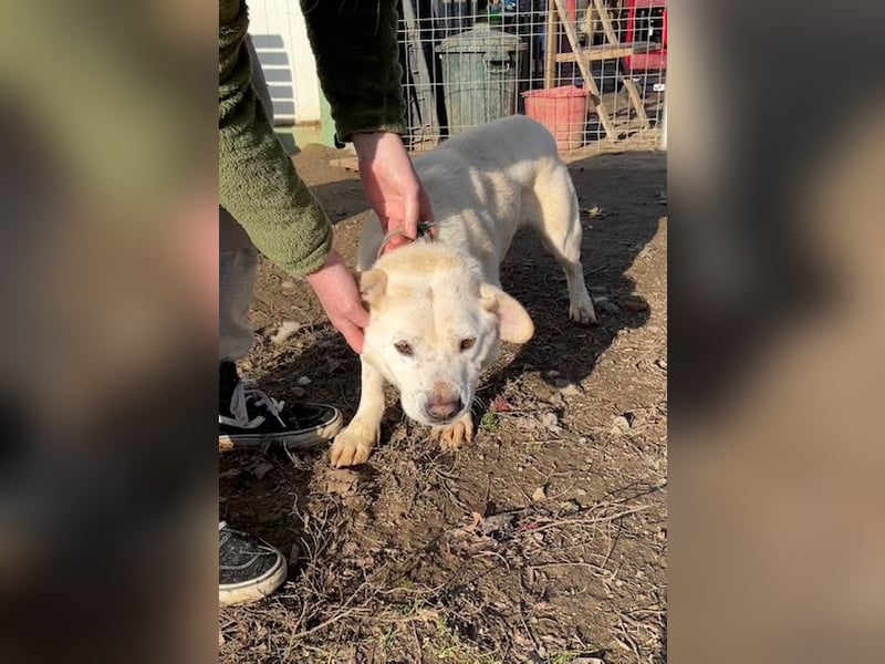 Paul möchte auf der Reise in ein glückliches Leben begleitet werden