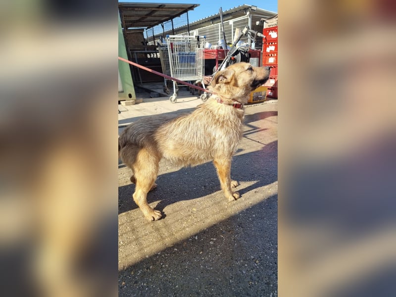 Doris, süßer kleiner Wirbelwind auf der Suche nach einem tollen Leben