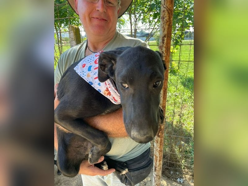 Vadim freut sich auf Euch!