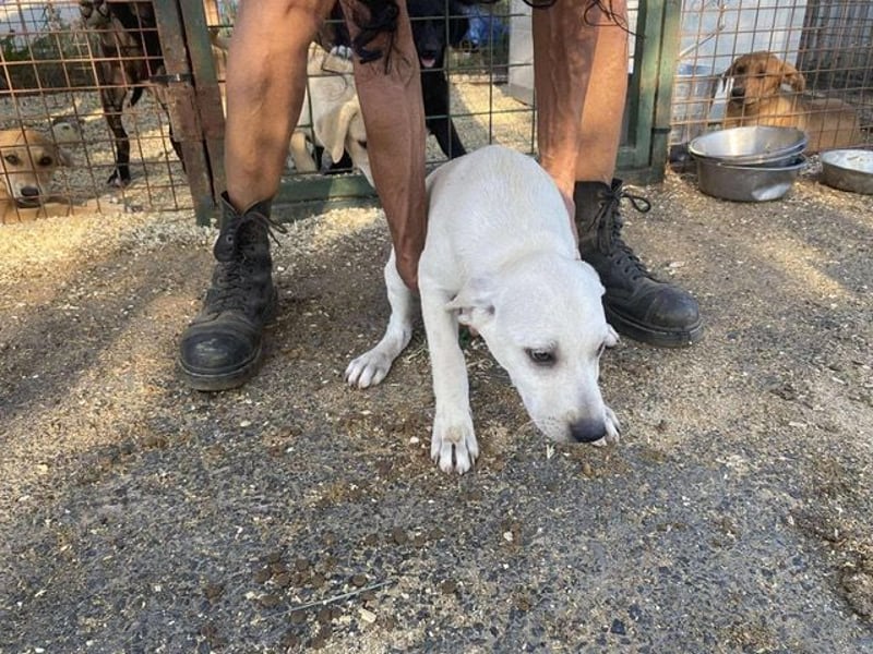 Naomi, aufgeweckt und aktiv