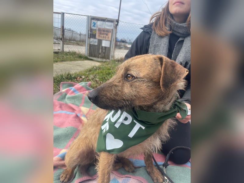 Bukta,möchte in seinem neuen Zuhause ankommen