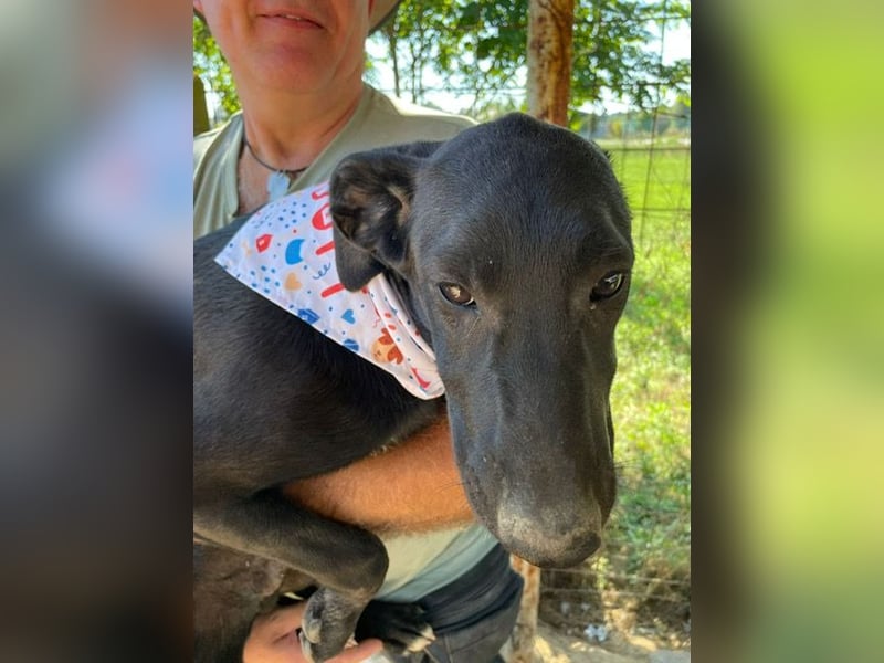 Vadim freut sich auf Euch!