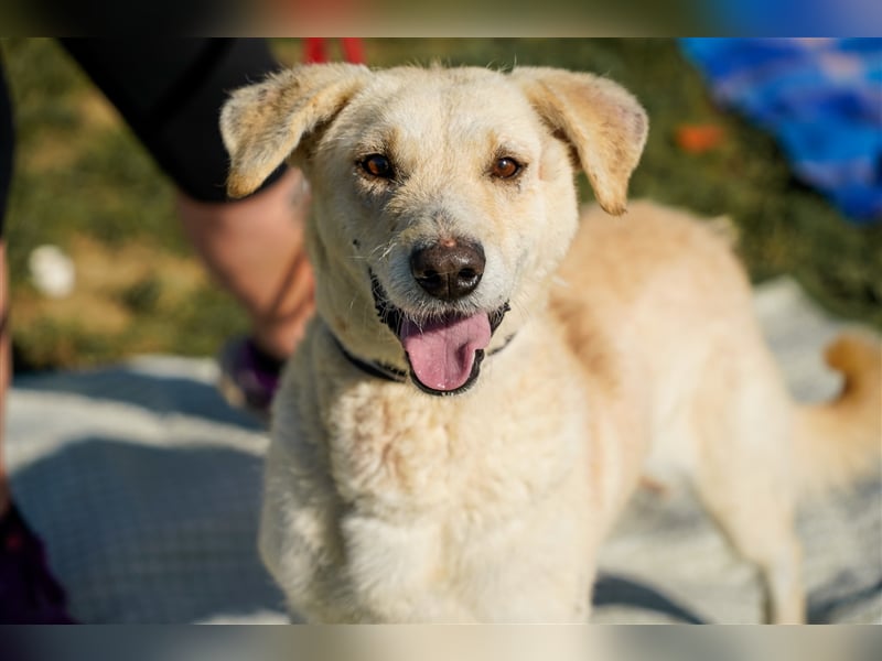 Haribo, arme Socke möchte nochmal glücklich sein